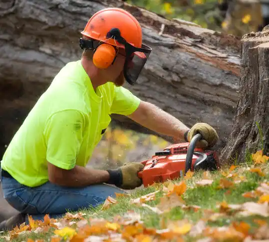 tree services Friend